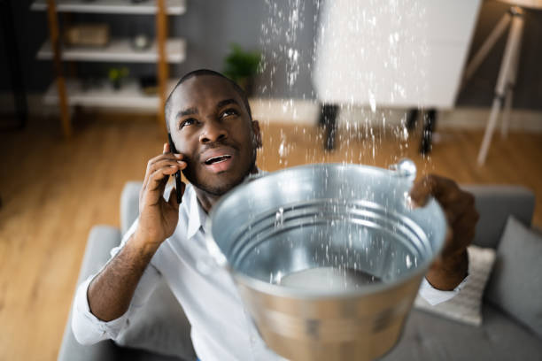 Best Ceiling water damage repair  in Kibler, AR