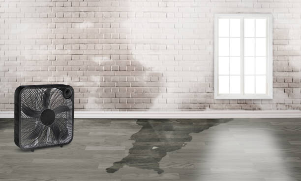 Best Emergency water damage restoration  in Kibler, AR