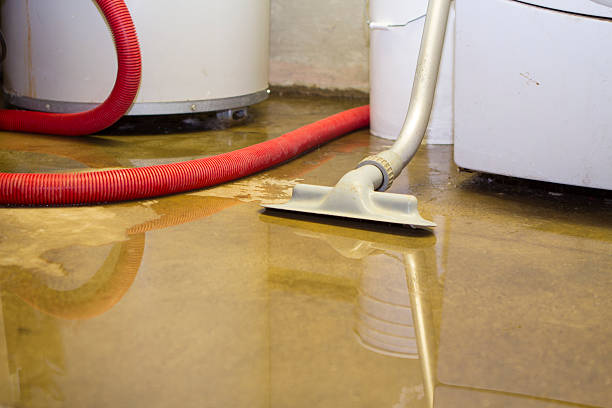 Best Water damage cleanup near me  in Kibler, AR